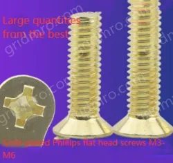 Golden Flat Head Screws M3*100