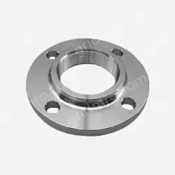 Companion Flange
